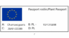 Cyprysik Lawsona ALUMIGOLD - Jasna odmiana na żywopłot Chamaecyparis lawsoniana 'Alumigold' 2