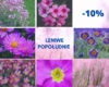 Zestaw Różowych bylin Leniwe Popołudnie -10%! Zestaw Różowych bylin Leniwe Popołudnie -10%! 1