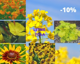 Letnie Pola zestaw żółtych bylin 5szt -10%! Letnie Pola zestaw żółtych bylin 5szt -10%! 1