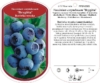 Borówka amerykańska BRIGITTA - PÓŹNA ODMIANA Vaccinium corymbosum 'BRIGITTA' 7