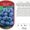 Borówka amerykańska BLUECROP - NAJPOPULARNIEJSZA ODMIANA Vaccinium corymbosum 'bluecropp' 10
