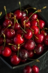 Wiśnia SABINA - POLSKA ODMIANA Prunus cerasus SABINA 5