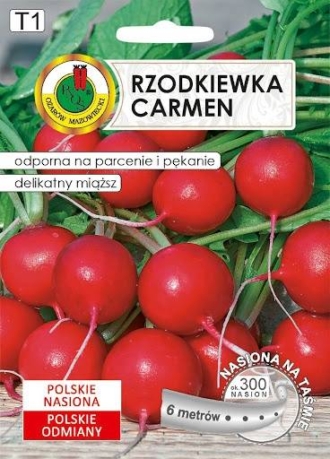 Rzodkiewka Carmen na taśmie 6m Rzodkiewka Carmen na taśmie 6m 1