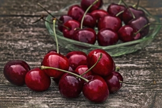 Wiśnia KELLERIS - Samopylna Prunus cerasus KELLERIS 3